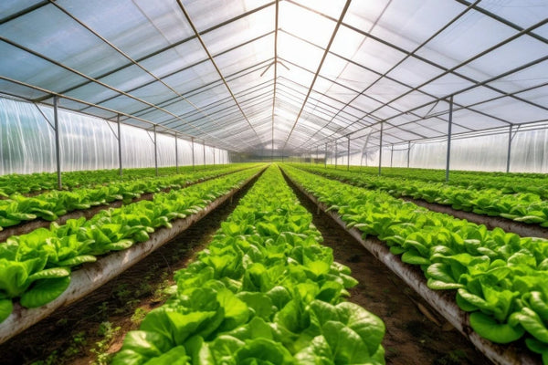 cw-greenhouses