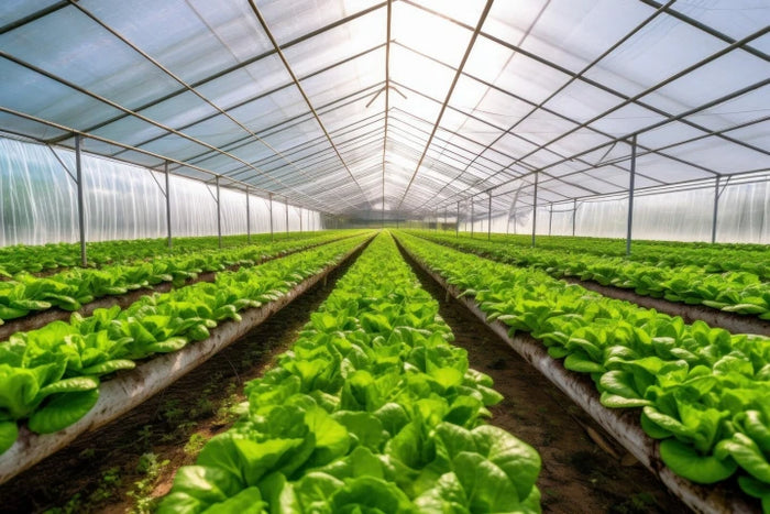 cw-greenhouses