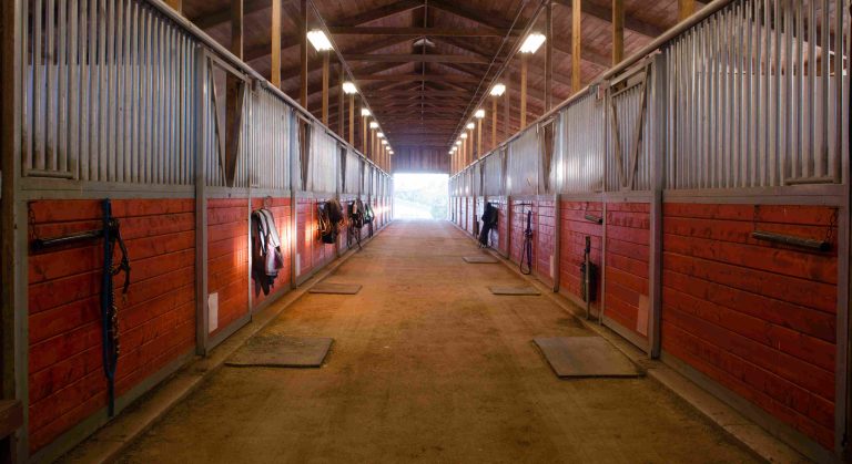 Horse stable